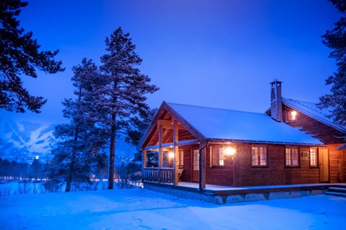 geilolia cabins night view in forest