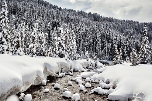 stream through the snow Madonna di Campiglio ski resort, Italy