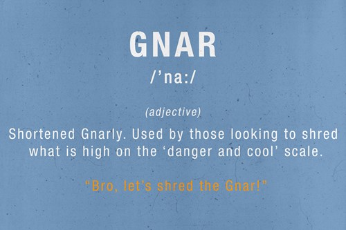ski slang terms - gnar