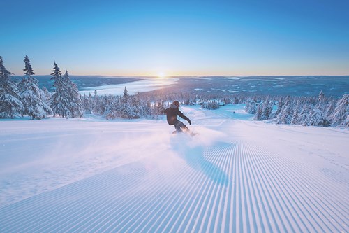 Fresh tracks on the piste