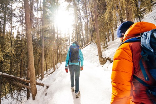 winter-walking-trees-snow-Banff-Lake-Louise.jpg