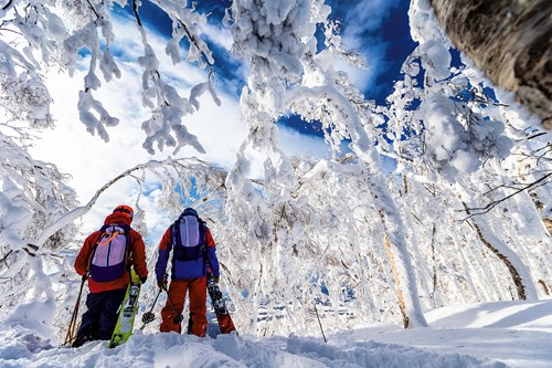 Japan-back-country-skiing