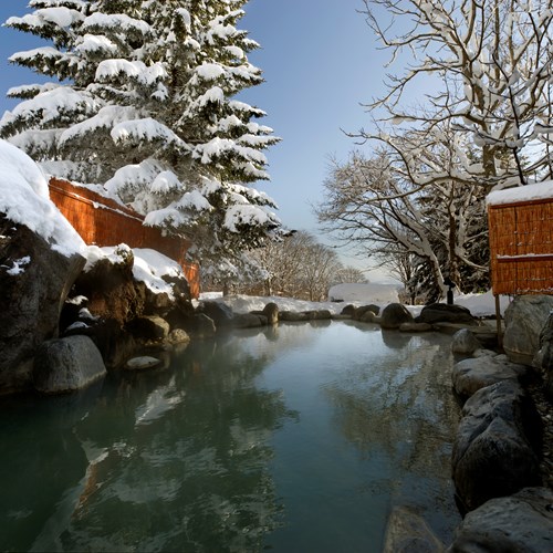 Greenleaf ski hotel - Niseko - Japan - outdoor onsen and snow