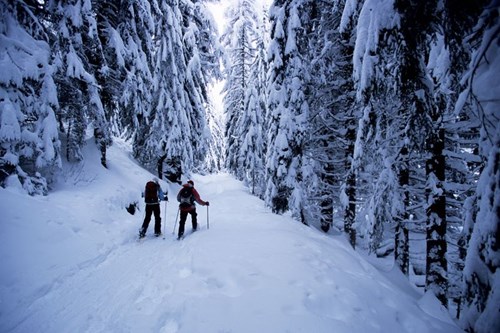 Chamonix-Ski-Resort-France (24).jpg