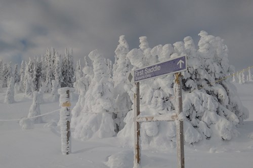 First-saddle-run-powder-sun-peaks