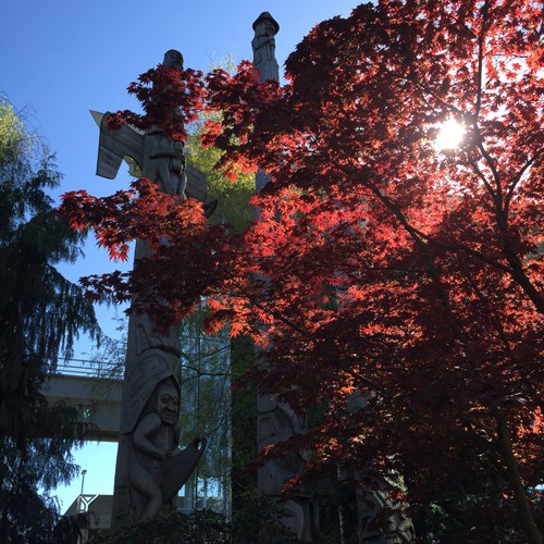 Vancouver twin centre, red trees