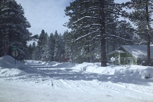 Heavenly-trees