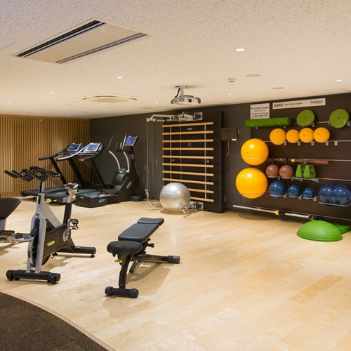 Ski Hotel Chalet Ivy-Niseko-Ski Japan-gym room