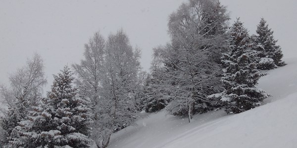 Where Is The Snow? 11th Jan 2019