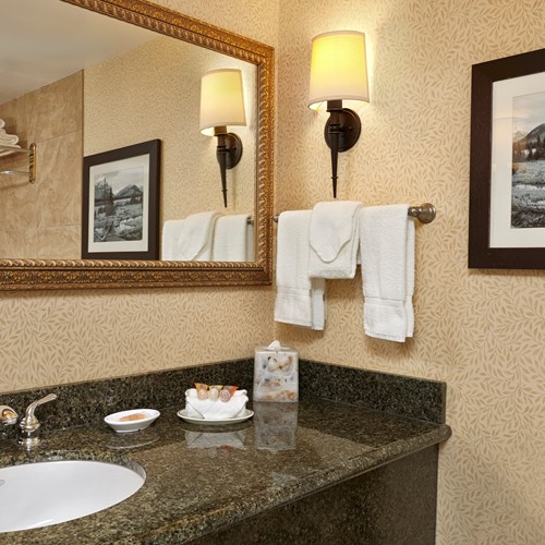 Deluxe Bedroom Suite Bathroom