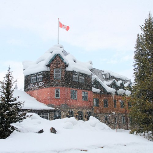 Deer Lodge-Lake Louise-exterior snow.JPG