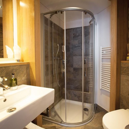 Trubsee Alpine Lodge-Engelberg ski resort-bathroom