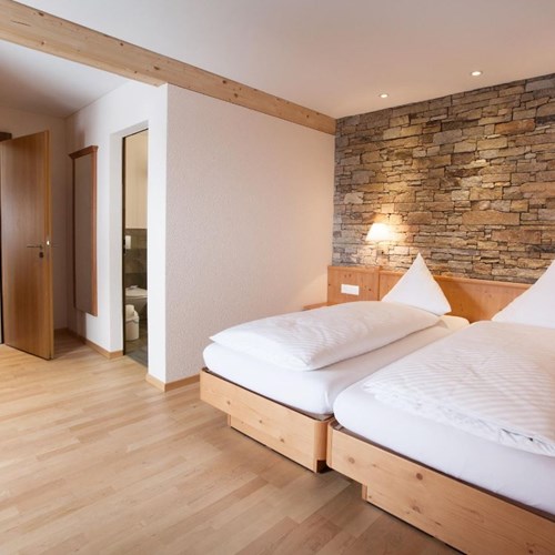Trubsee Alpine Lodge-Engelberg ski resort-double room
